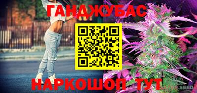 стаф Туймазы