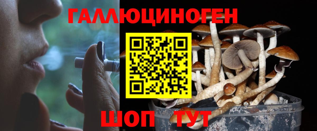 Псилоцибиновые грибы Cubensis Набережные Челны